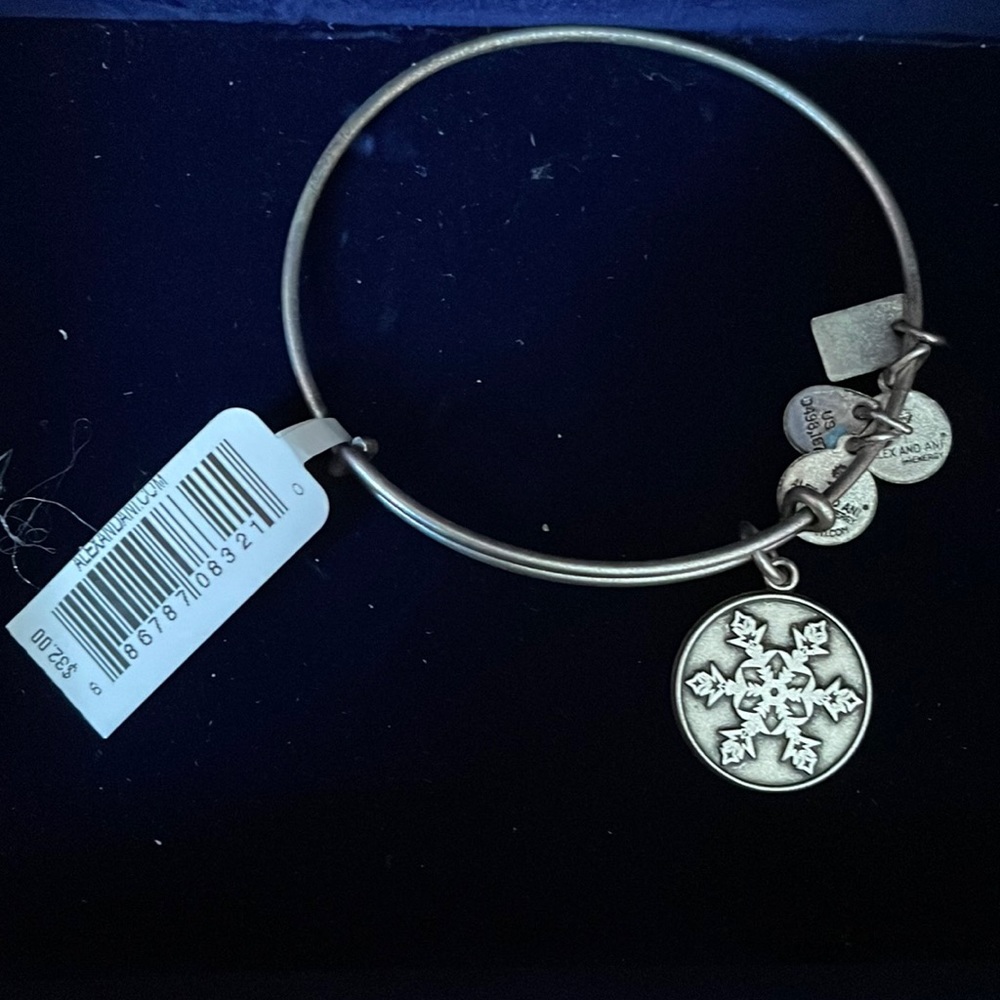 Alex and ani snowflake charm bangle